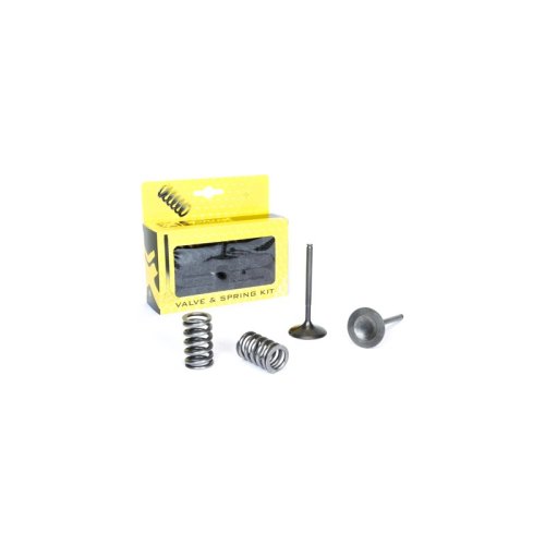 Intake Valve Spring Kit Prox YZ250F 14-18