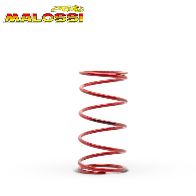 MOLA VARIADOR MALOSSI 53,70x110 mm MULTIVAR